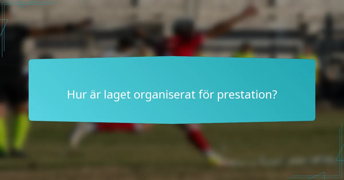Hur är laget organiserat för prestation?
