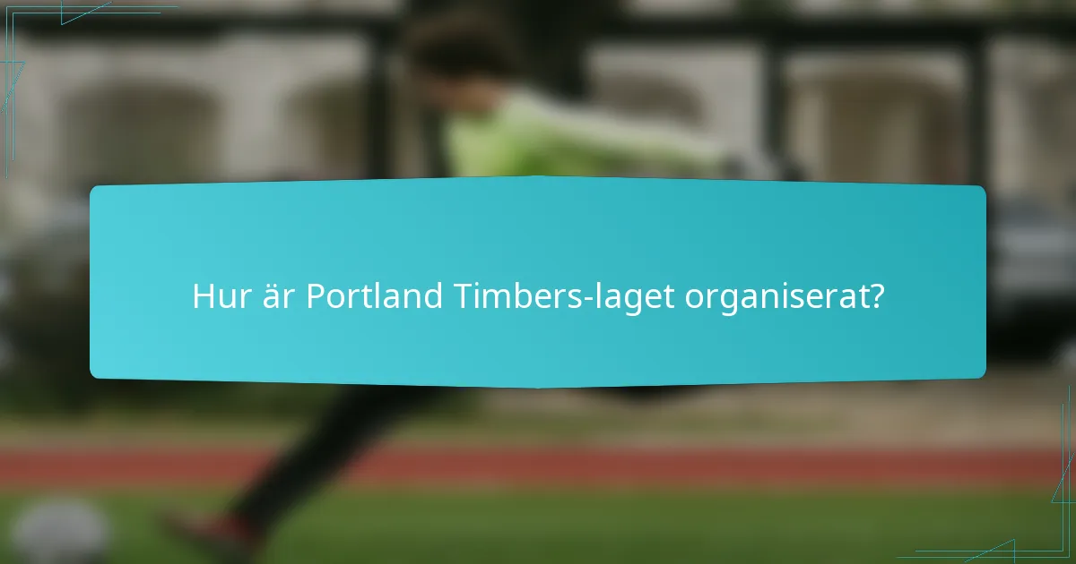 Hur är Portland Timbers-laget organiserat?
