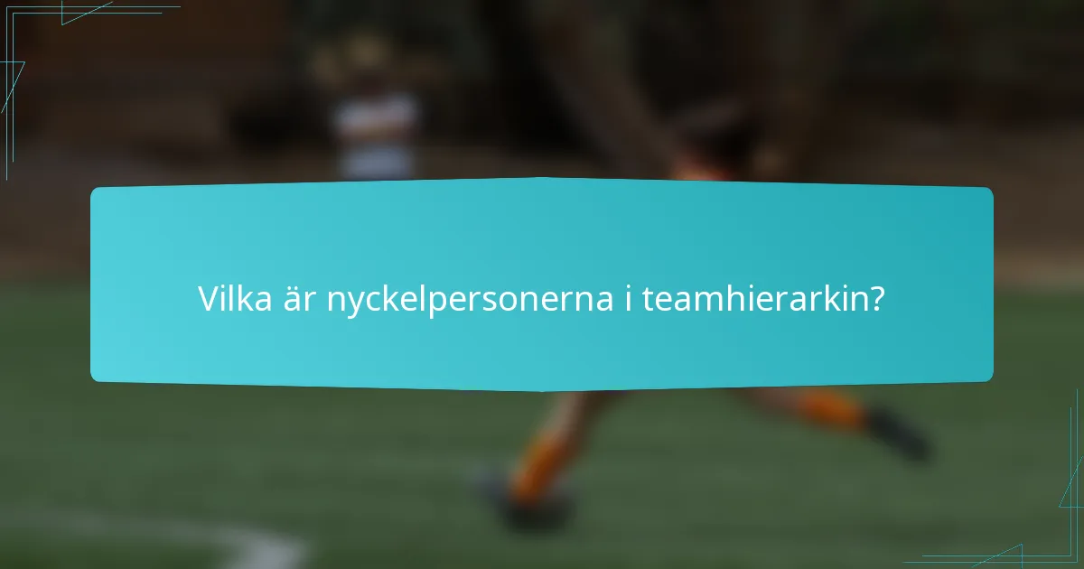 Vilka är nyckelpersonerna i teamhierarkin?
